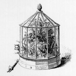 18th century plant introduction using the Wardian Case