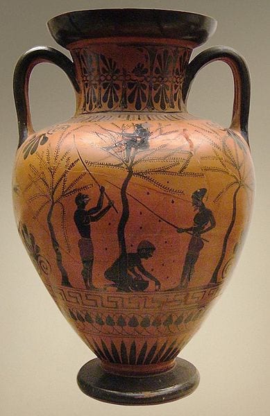 Greek gardens scene of olive-gathering on amphora