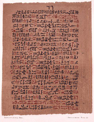 Plant history antiquity: Ebers Papyrus