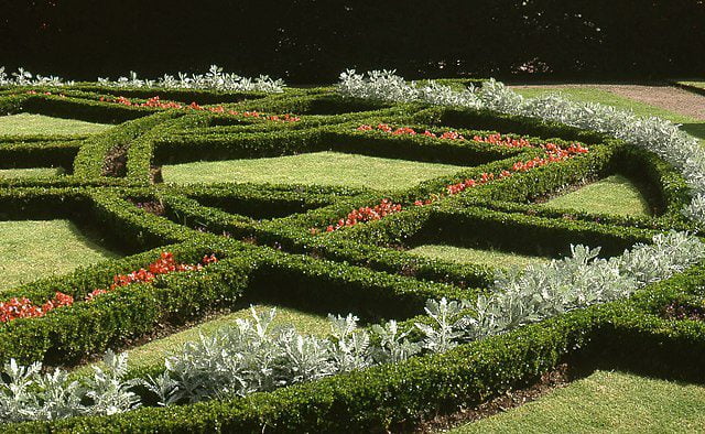 Tudor gardens contained Knot Gardens, reconstruction St Fagans Museum, Wales